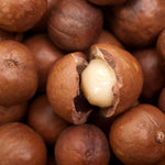 Macadamia (Macadamia tetraphylla) huile végétale vierge